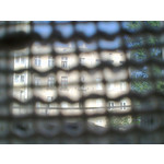 PICTURES FROM THIS PHONE