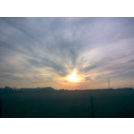 PICTURES FROM THIS PHONE