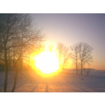 PICTURES FROM THIS PHONE