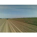 来自这款手机的图片