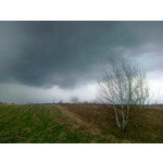 PICTURES FROM THIS PHONE