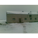 来自这款手机的图片