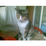 来自这款手机的图片