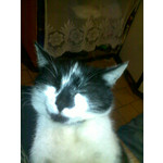 PICTURES FROM THIS PHONE