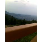 PICTURES FROM THIS PHONE