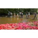 PICTURES FROM THIS PHONE