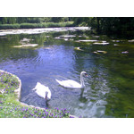 FOTO FATTE CON QUESTO TELEFONO