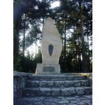 来自这款手机的图片