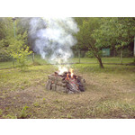 来自这款手机的图片