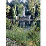 来自这款手机的图片