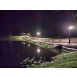 Selbst von Nutzern gemachte Bilder Nokia G50 5G