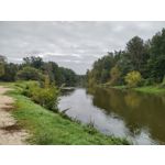 Selbst von Nutzern gemachte Bilder Nokia G50 5G