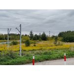 Selbst von Nutzern gemachte Bilder Nokia G50 5G