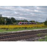 Selbst von Nutzern gemachte Bilder Nokia G50 5G