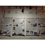 Selbst von Nutzern gemachte Bilder Nokia G50 5G
