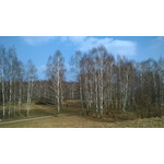 Foto's van de gebruikers Nokia Lumia 1320