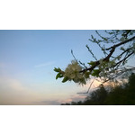 Foto's van de gebruikers Nokia Lumia 1320