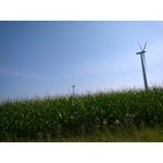 Foto's van de gebruikers Nokia Lumia 1320