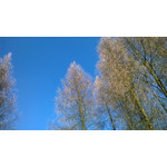 Foto's van de gebruikers Nokia Lumia 1320