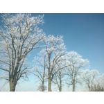 FOTO FATTE CON QUESTO TELEFONO