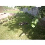 FOTO FATTE CON QUESTO TELEFONO