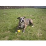 FOTO FATTE CON QUESTO TELEFONO