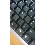 来自这款手机的图片