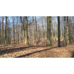 Foto's van de gebruikers Nokia Lumia 630 Dual SIM