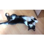 LAS FOTOS HECHAS CON ESTE TELÉFONO