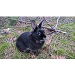 LAS FOTOS HECHAS CON ESTE TELÉFONO