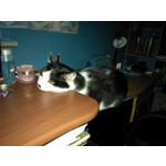 来自这款手机的图片