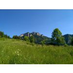 用戶照片 Nokia Lumia 730 Dual SIM