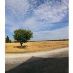 用戶照片 Nokia Lumia 730 Dual SIM