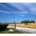 用戶照片 Nokia Lumia 730 Dual SIM