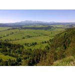 用戶照片 Nokia Lumia 730 Dual SIM