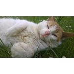 PICTURES FROM THIS PHONE