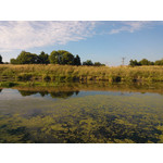 Fotos de usuários Nokia Lumia 900