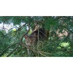 Imágenes de los usuarios Nokia Lumia 925 Imágenes de los usuarios Nokia Lumia 925