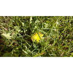 Imágenes de los usuarios Nokia Lumia 925 Imágenes de los usuarios Nokia Lumia 925