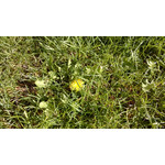 Imágenes de los usuarios Nokia Lumia 925 Imágenes de los usuarios Nokia Lumia 925