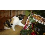 Imágenes de los usuarios Nokia Lumia 925 Imágenes de los usuarios Nokia Lumia 925