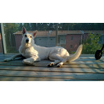 Imágenes de los usuarios Nokia Lumia 925 Imágenes de los usuarios Nokia Lumia 925