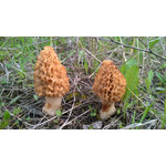 Imágenes de los usuarios Nokia Lumia 925 Imágenes de los usuarios Nokia Lumia 925