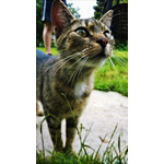 Imágenes de los usuarios Nokia Lumia 925 Imágenes de los usuarios Nokia Lumia 925