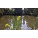 Imágenes de los usuarios Nokia Lumia 930