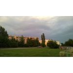 Imágenes de los usuarios Nokia Lumia 930