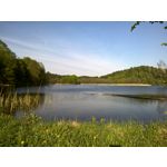 PHOTOS FAITES AVEC CE SMARTPHONE