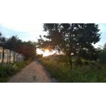 Imágenes de los usuarios Nokia Lumia 930