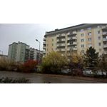 Imágenes de los usuarios Nokia Lumia 930