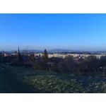 PICTURES FROM THIS PHONE